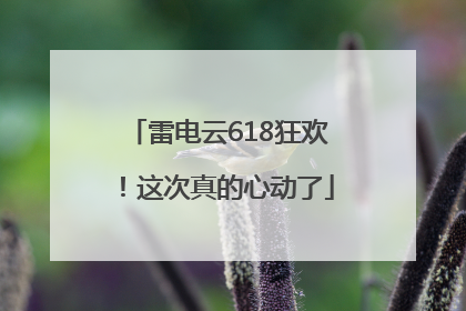 雷电云618狂欢！这次真的心动了