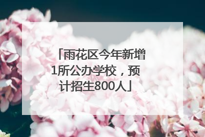 雨花区今年新增1所公办学校，预计招生800人