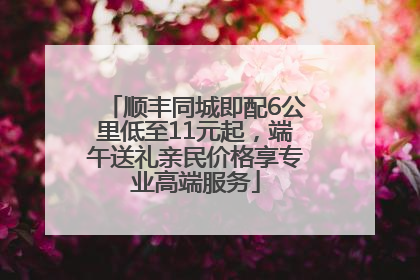 顺丰同城即配6公里低至11元起，端午送礼亲民价格享专业高端服务