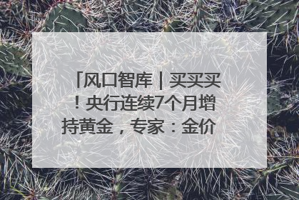 风口智库｜买买买！央行连续7个月增持黄金，专家：金价或仍易涨难跌
