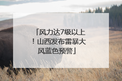 风力达7级以上！山西发布雷暴大风蓝色预警