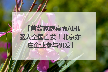 首款家庭桌面AI机器人全国首发！北京亦庄企业参与研发
