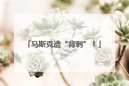 马斯克遭“背刺”！
