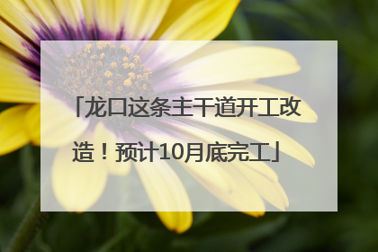 龙口这条主干道开工改造！预计10月底完工