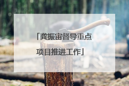 龚振宙督导重点项目推进工作