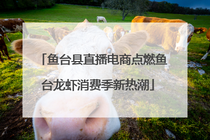 鱼台县直播电商点燃鱼台龙虾消费季新热潮