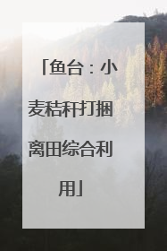 鱼台：小麦秸秆打捆离田综合利用