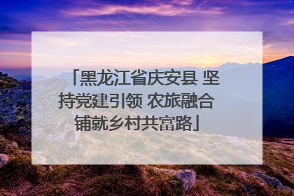 黑龙江省庆安县 坚持党建引领 农旅融合铺就乡村共富路