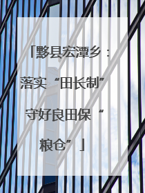 黟县宏潭乡：落实“田长制” 守好良田保“粮仓”