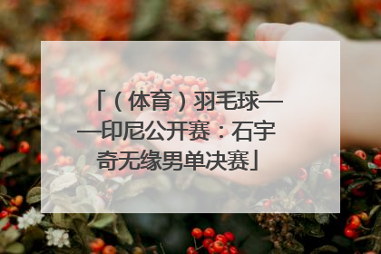 （体育）羽毛球——印尼公开赛：石宇奇无缘男单决赛