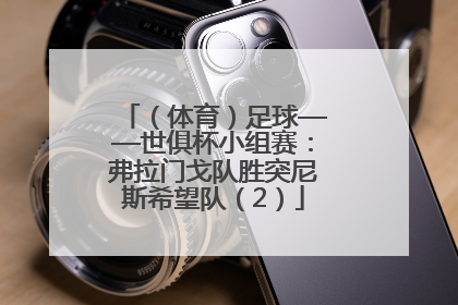 （体育）足球——世俱杯小组赛：弗拉门戈队胜突尼斯希望队（2）