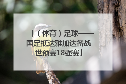 （体育）足球——国足抵达雅加达备战世预赛18强赛