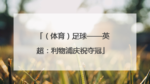 （体育）足球——英超：利物浦庆祝夺冠