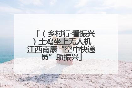 （乡村行·看振兴）土鸡坐上无人机 江西南康“空中快递员”助振兴