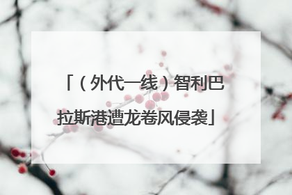 （外代一线）智利巴拉斯港遭龙卷风侵袭