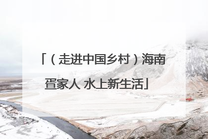 （走进中国乡村）海南疍家人 水上新生活