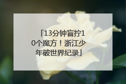 13分钟盲拧10个魔方！浙江少年破世界纪录