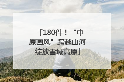 180件！“中原画风”跨越山河绽放雪域高原