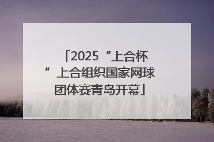 2025“上合杯”上合组织国家网球团体赛青岛开幕