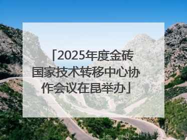 2025年度金砖国家技术转移中心协作会议在昆举办