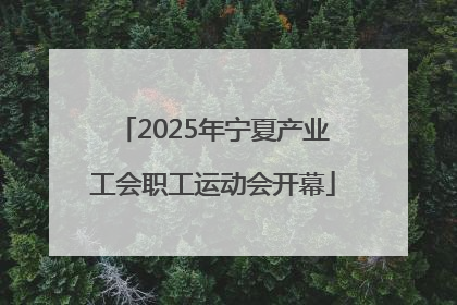 2025年宁夏产业工会职工运动会开幕