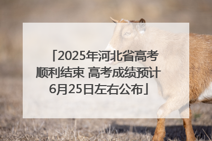 2025年河北省高考顺利结束 高考成绩预计6月25日左右公布