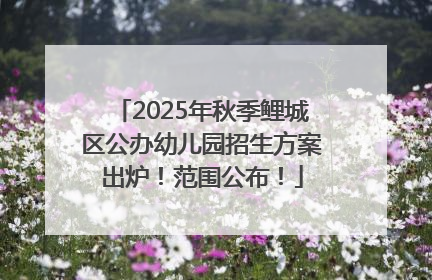 2025年秋季鲤城区公办幼儿园招生方案出炉！范围公布！