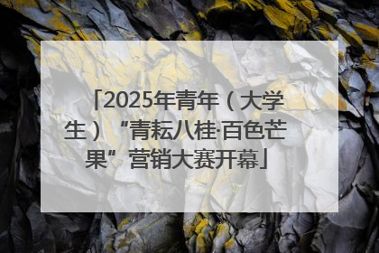 2025年青年（大学生）“青耘八桂·百色芒果”营销大赛开幕