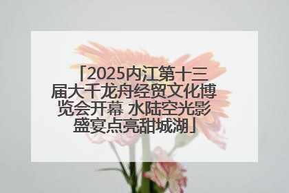 2025内江第十三届大千龙舟经贸文化博览会开幕 水陆空光影盛宴点亮甜城湖