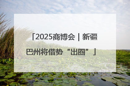 2025商博会｜新疆巴州将借势“出圈”