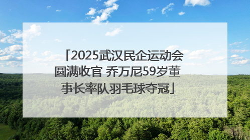 2025武汉民企运动会圆满收官 乔万尼59岁董事长率队羽毛球夺冠