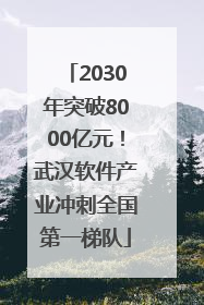 2030年突破8000亿元！武汉软件产业冲刺全国第一梯队