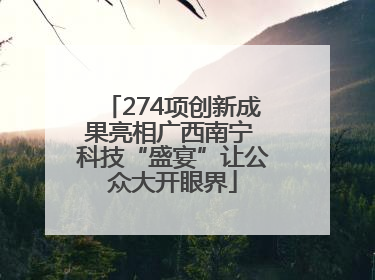 274项创新成果亮相广西南宁 科技“盛宴”让公众大开眼界