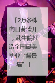2万多株向日葵盛开，武生院打造全国最美毕业“背景墙”