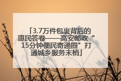 3.7万件包裹背后的惠民答卷——高安邮政“15分钟便民寄递圈”打通城乡服务末梢