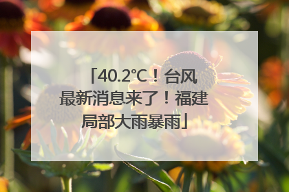 40.2℃！台风最新消息来了！福建局部大雨暴雨
