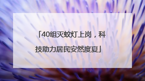 40组灭蚊灯上岗，科技助力居民安然度夏