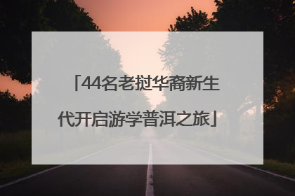 44名老挝华裔新生代开启游学普洱之旅