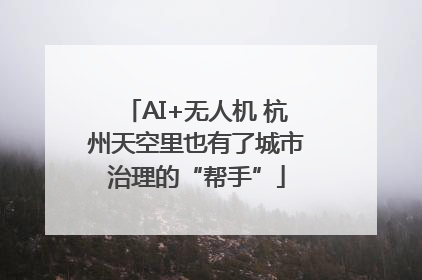 AI+无人机 杭州天空里也有了城市治理的“帮手”
