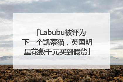 Labubu被评为下一个凯蒂猫，英国明星花数千元买到假货