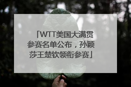 WTT美国大满贯参赛名单公布，孙颖莎王楚钦领衔参赛